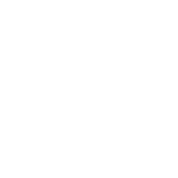 NEW ENERGY VEHICLE BATTERY ICON